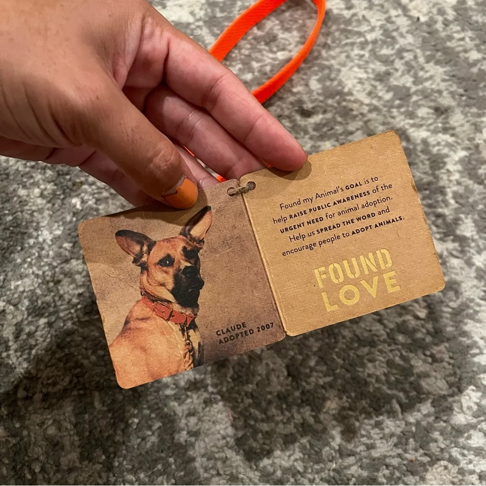 New Found My Animal Rescue Orange Project Dog Leash Size Small